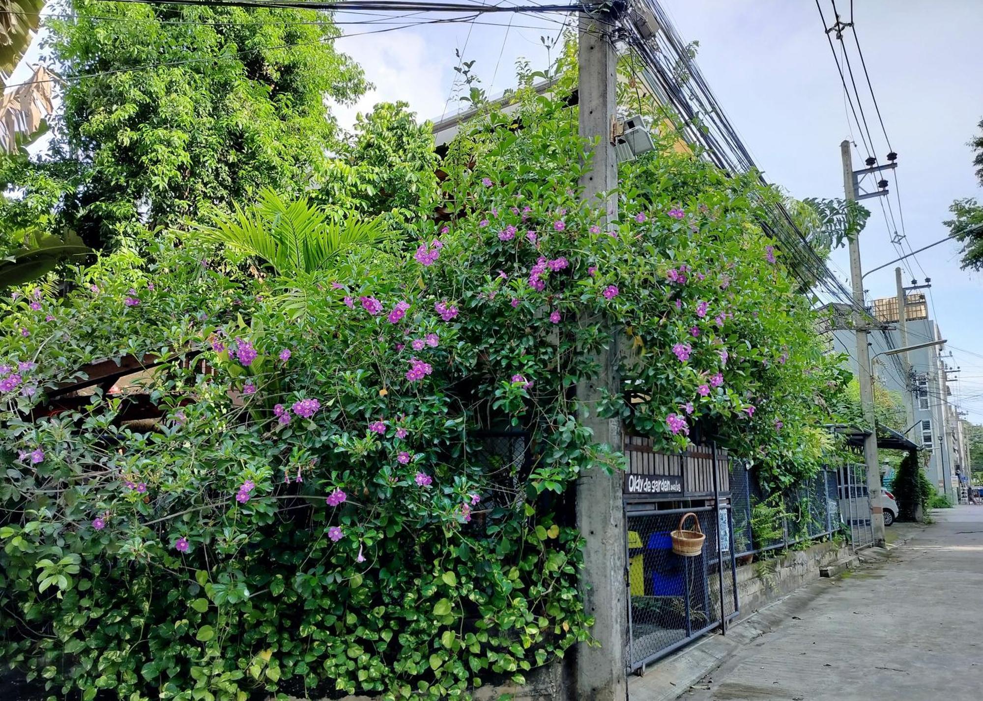Aparthotel Oldy De Garden Chiang Mai Zewnętrze zdjęcie