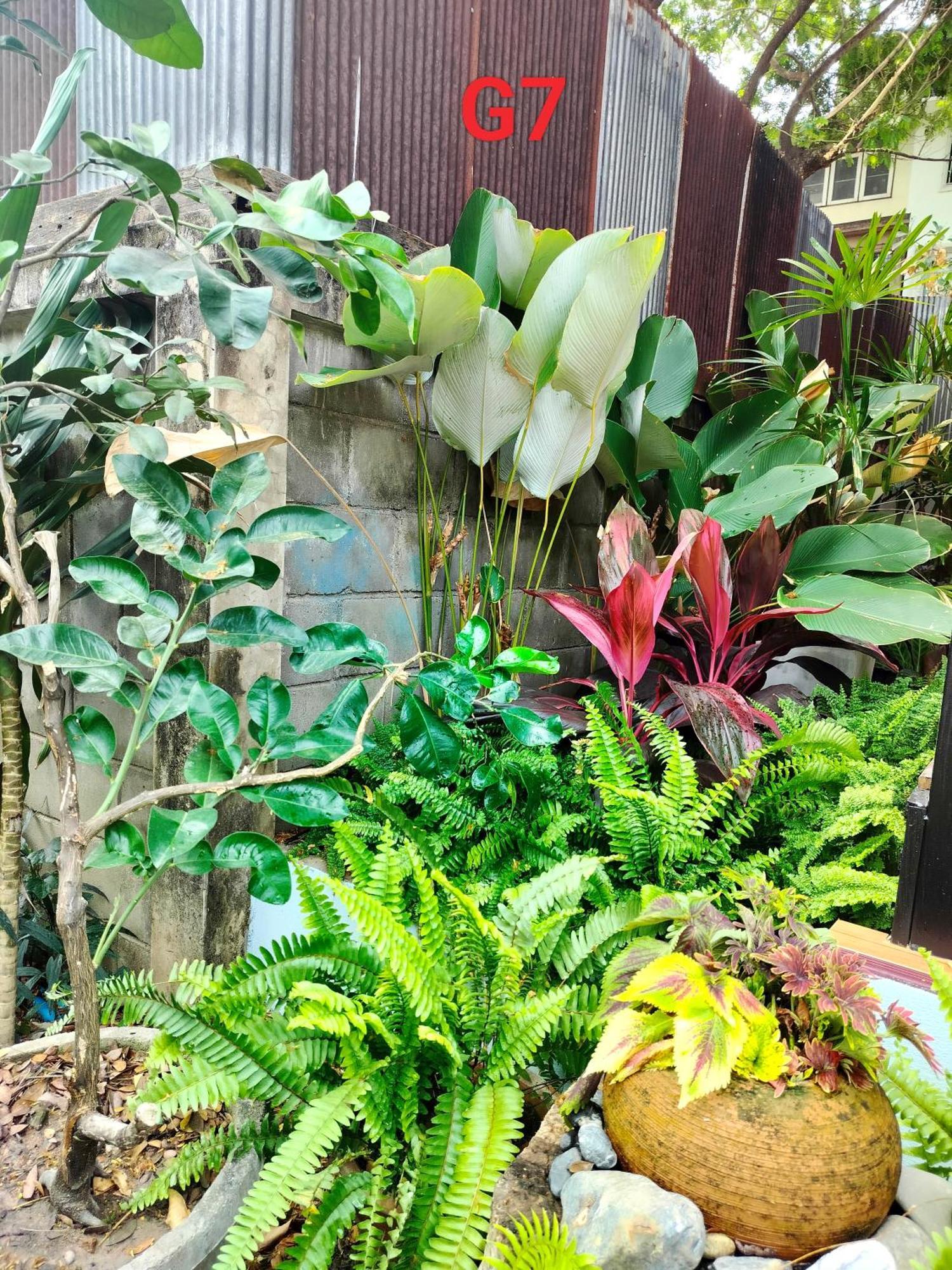 Aparthotel Oldy De Garden Chiang Mai Zewnętrze zdjęcie